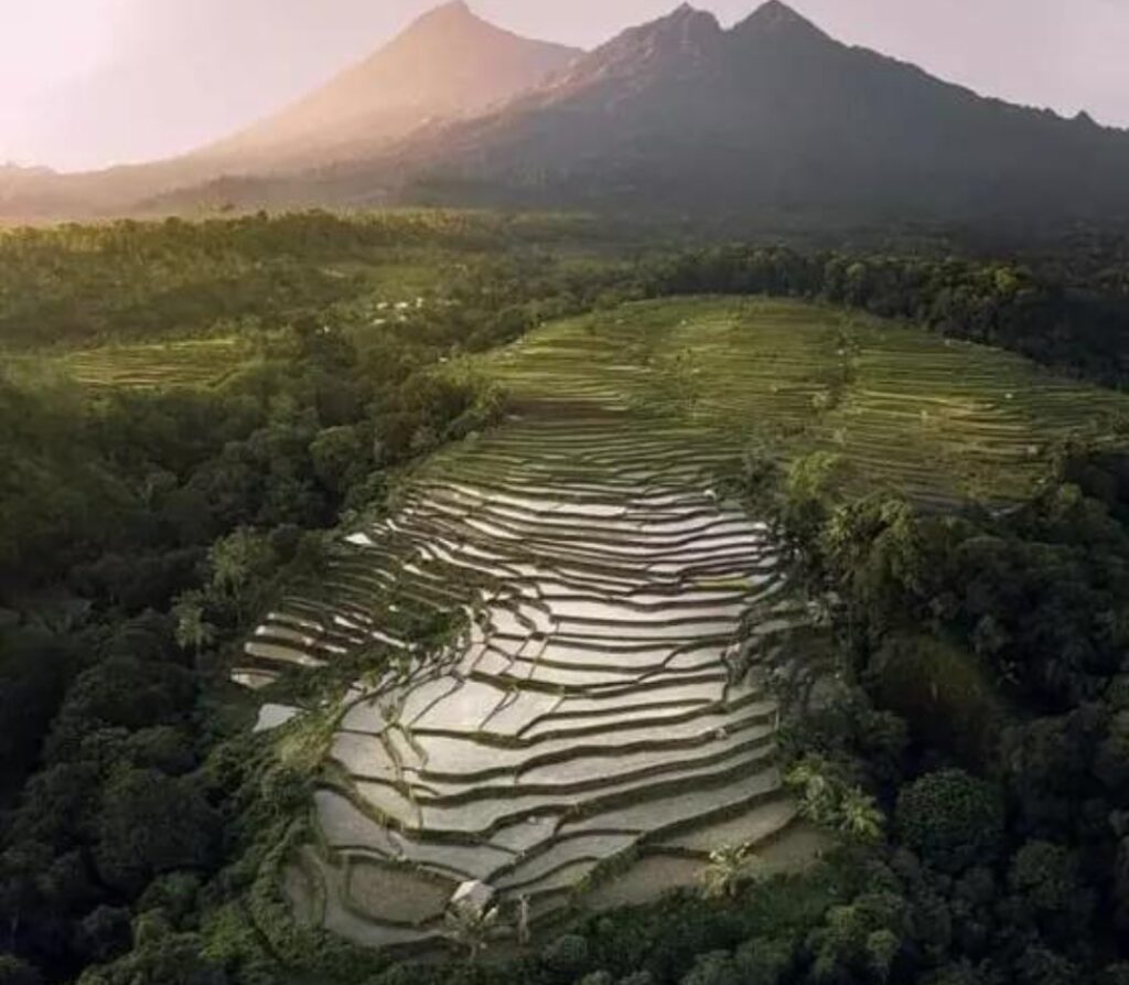 SENDANG GILE & TIU KELEP WATERFALL TOUR LOMBOK 109400
