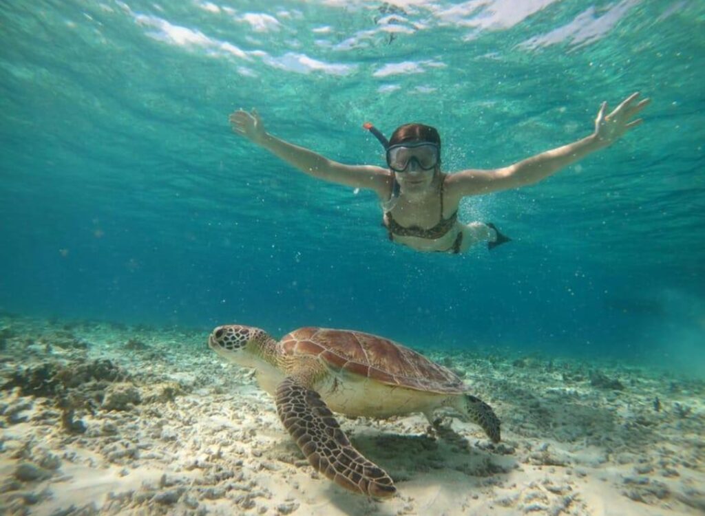 Gili Islands Snorkeling Trip from Lombok | 3 Gili Islands 98731